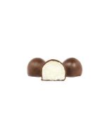 Bolitas de Coco bañadas de chocolate